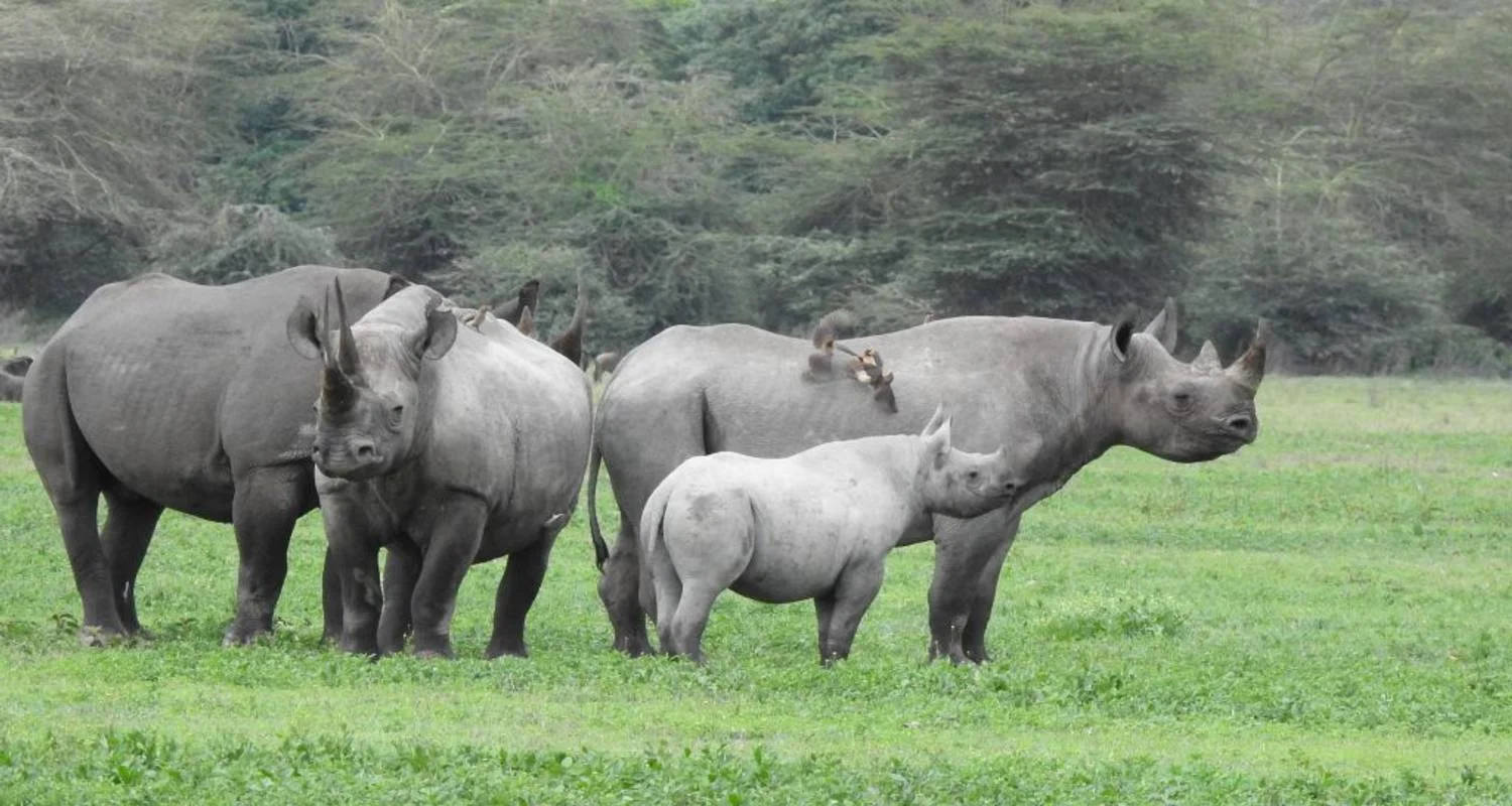 Explore 8 Days Classic Best of  Northern Tanzania for 8 days with Classic Journeys Africa Ltd and discover unforgettable experiences - Photo 2