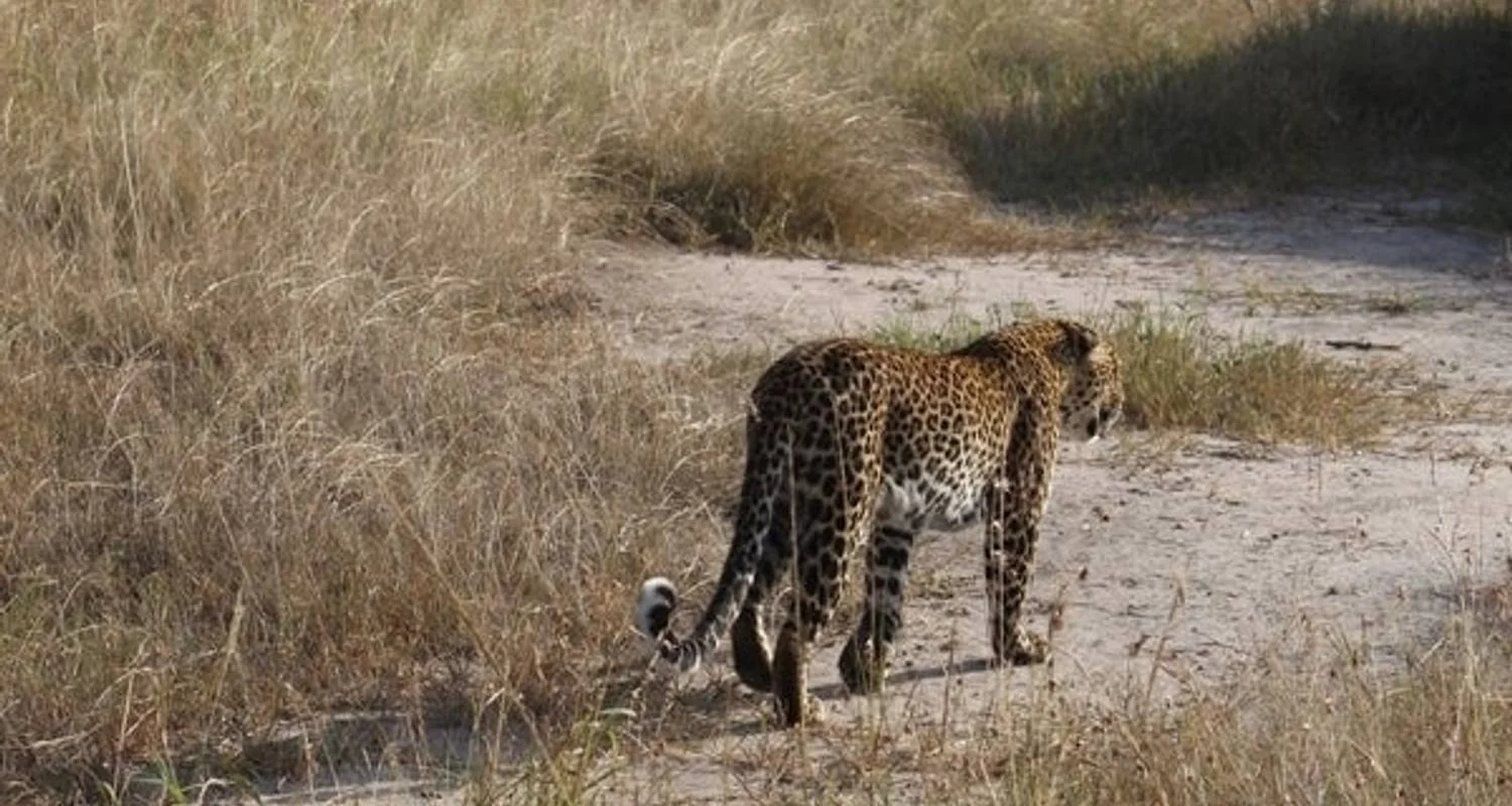 Explore Classic Kenya and Tanzania Series for 13 days with Classic Journeys Africa Ltd and discover unforgettable experiences - Photo 2