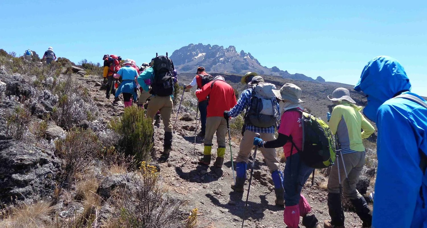 Explore Kilimanjaro Climbing Via Lemosho Route 10 Days (all accommodation and transport are included) for 10 days with Click Expeditions and discover unforgettable experiences - Photo 2