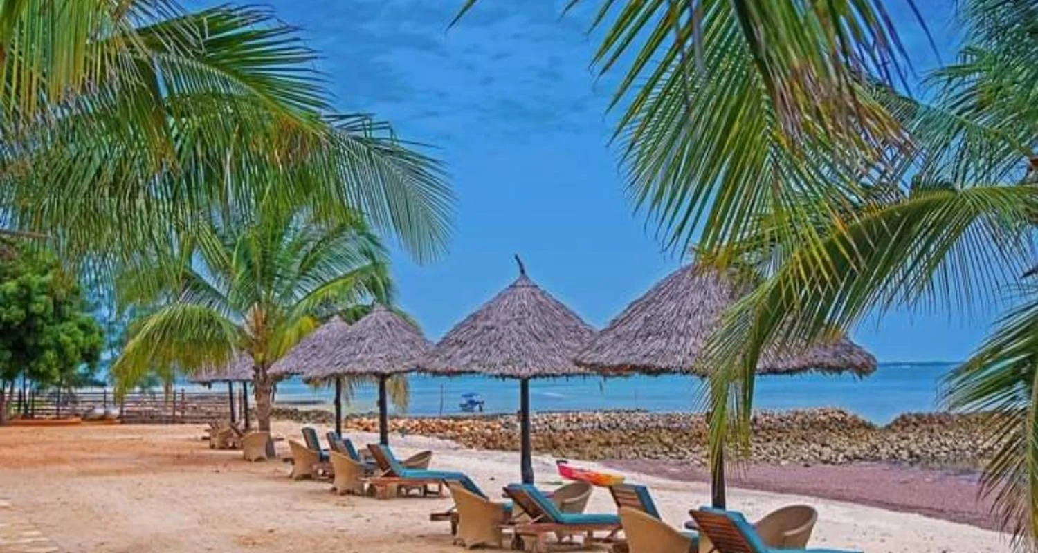 Explore Pemba Island - Beach Holidays for 6 days with Click Expeditions and discover unforgettable experiences - Photo 2