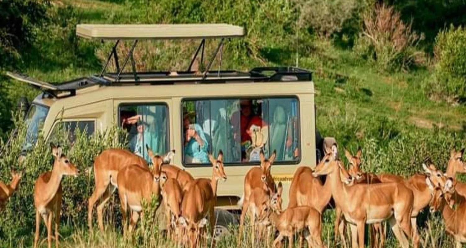 Explore 15 Days Kenya & Tanzania Combo Safari for 15 days with Click Expeditions and discover unforgettable experiences - Photo 2