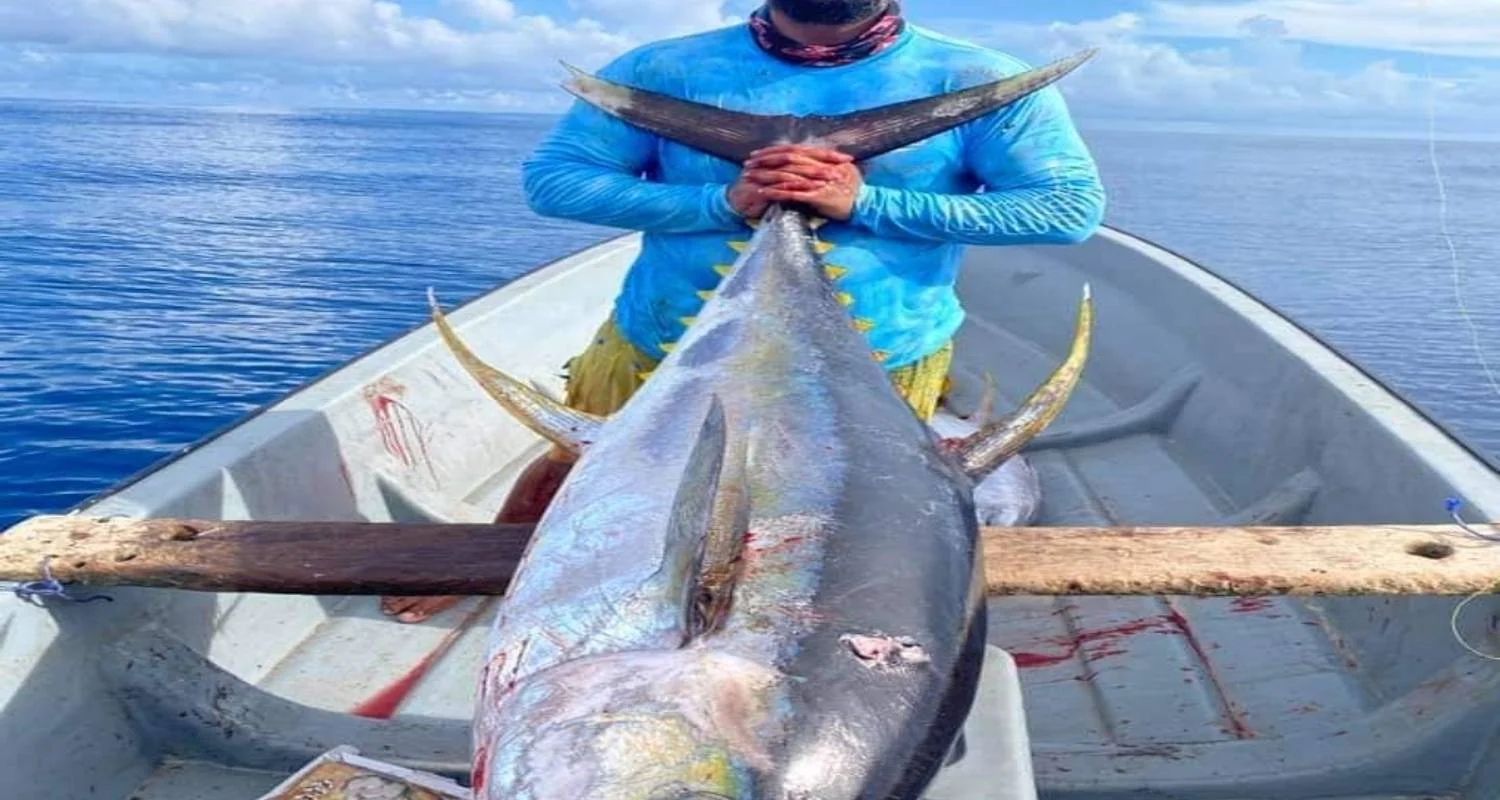 Explore 4 Days - Zanzibar Safari and Beach Holiday for 4 days with Click Expeditions and discover unforgettable experiences - Photo 2