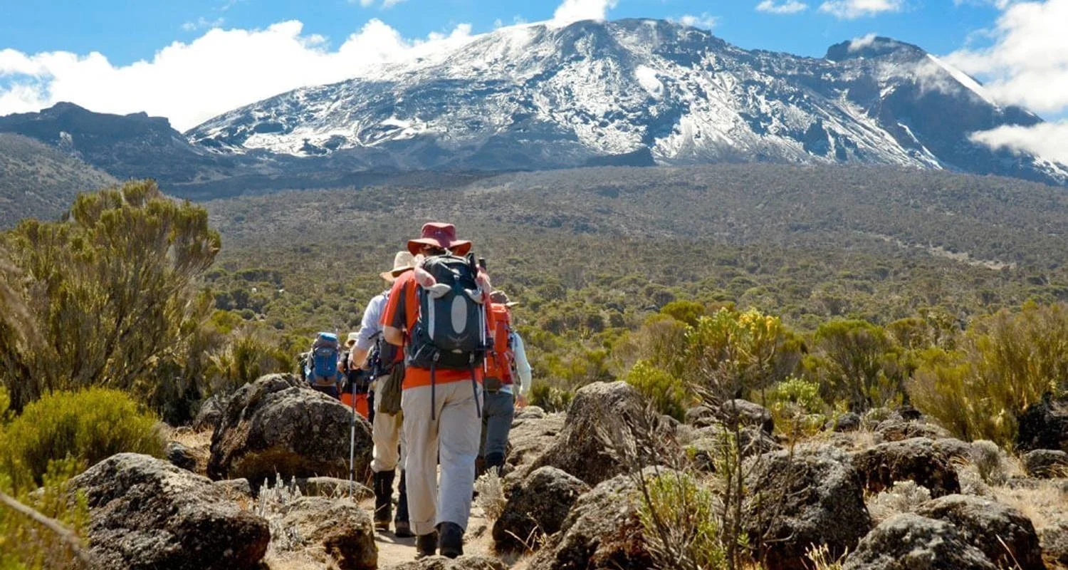 Explore 8 days Mount kilimanjaro climbing through marangu route.(all Accommodation & Transport are included) for 8 days with Click Expeditions and discover unforgettable experiences - Photo 2