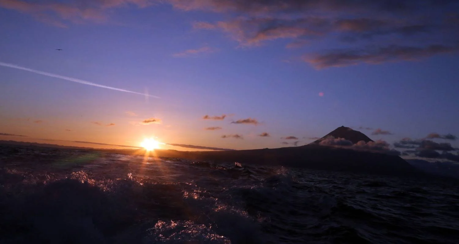 Explore Whales & Dolphins for 8 days with Colibri Travel and discover unforgettable experiences - Photo 2