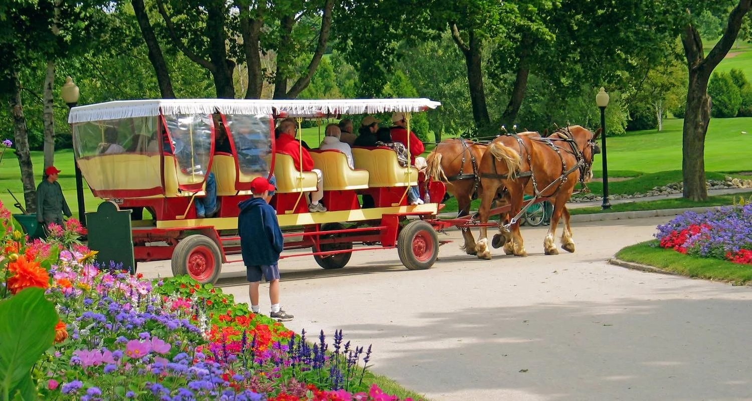 Explore Mackinac Island  (Chicago, IL to Southfield, MI) (2025) for 9 days with Collette and discover unforgettable experiences - Photo 2