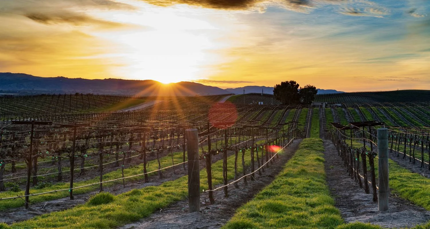 Explore Sequoia & Kings Canyon National Parks featuring San Diego and California’s Central Coast  (San Diego, CA to Los Angeles, CA) (2025) for 10 days with Collette and discover unforgettable experiences - Photo 2