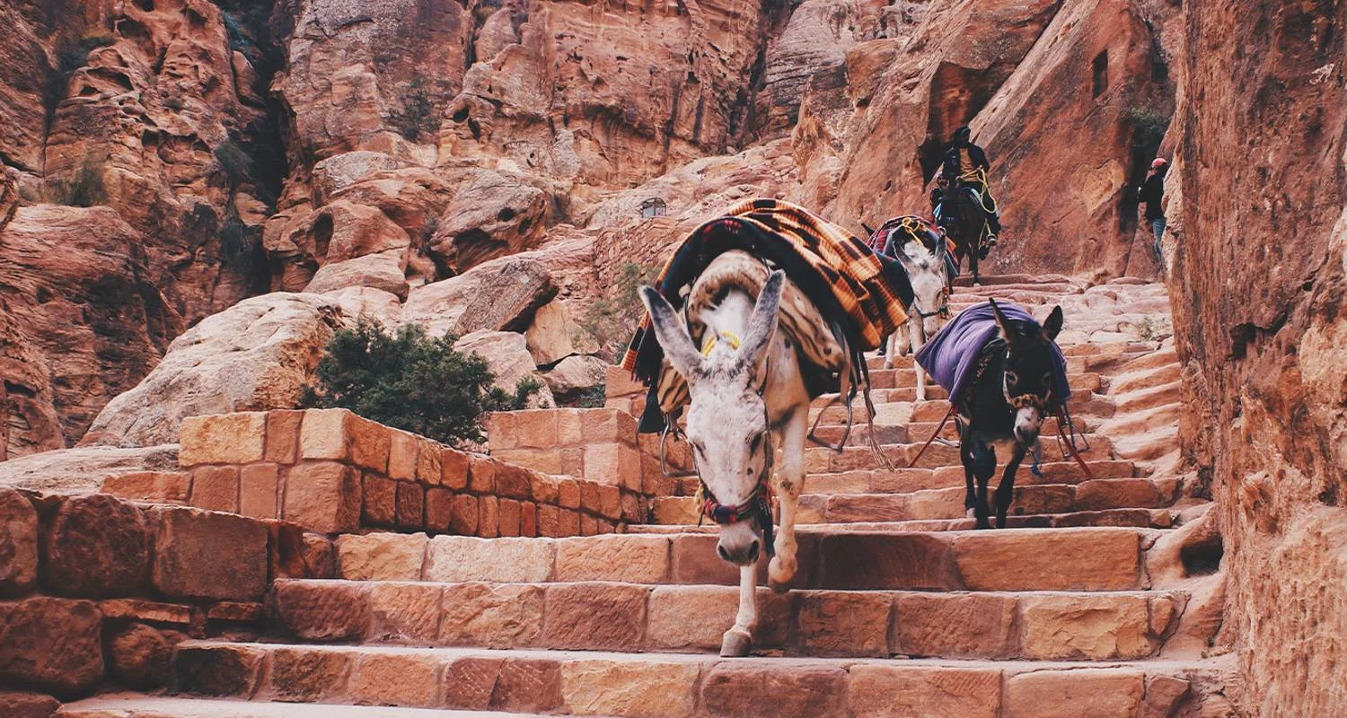 Explore Journey Through Egypt and Jordan  (Amman to Cairo) (2025) for 14 days with Collette and discover unforgettable experiences - Photo 2