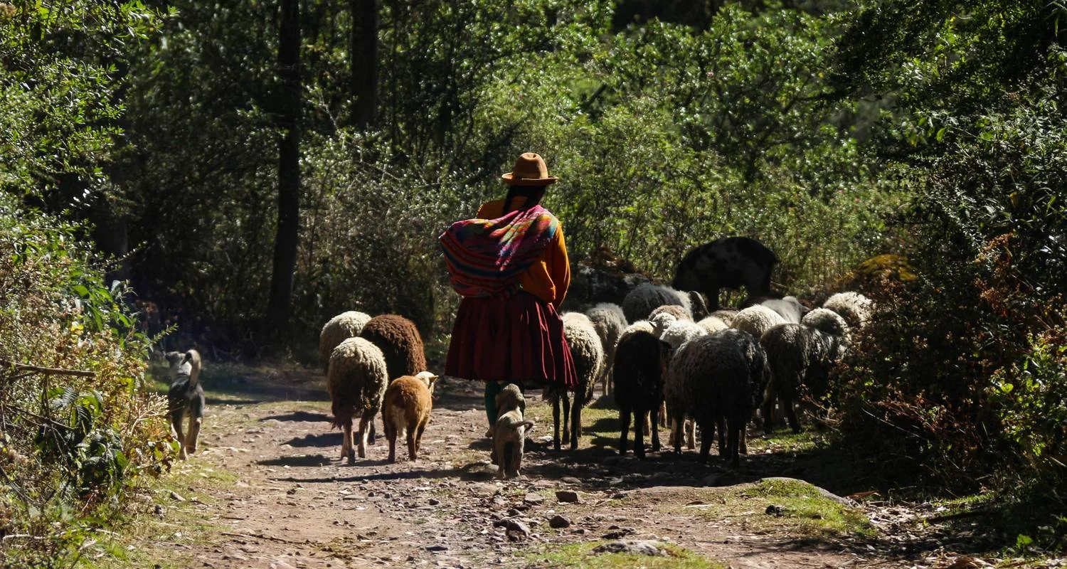 Explore Lares trek to Machu Picchu 4D/3N Tour for 4 days with CondeTravel and discover unforgettable experiences - Photo 2