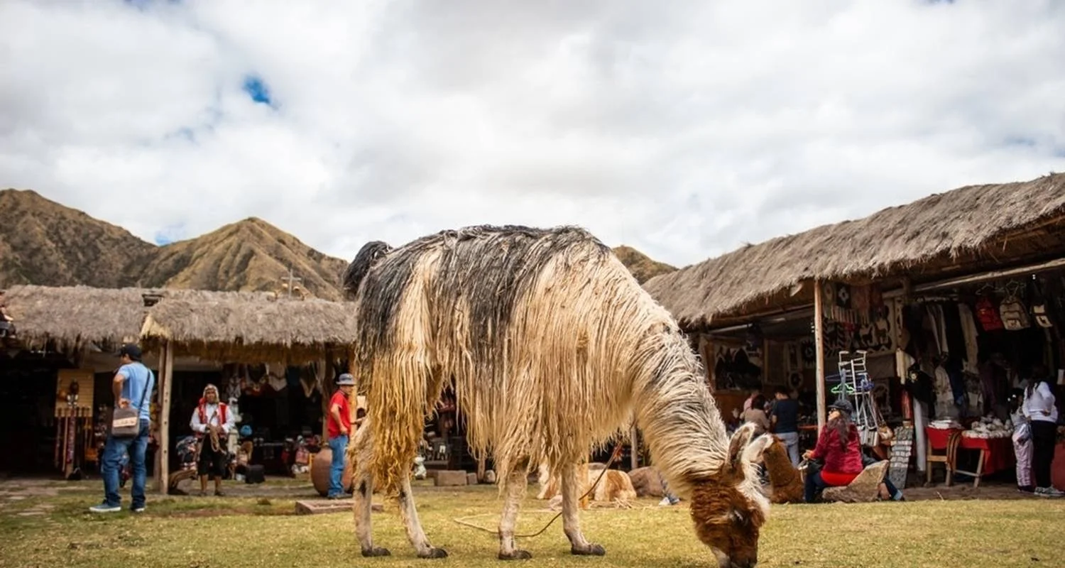 Explore 4-Day Choquequirao from Cusco for 4 days with CondeTravel and discover unforgettable experiences - Photo 2