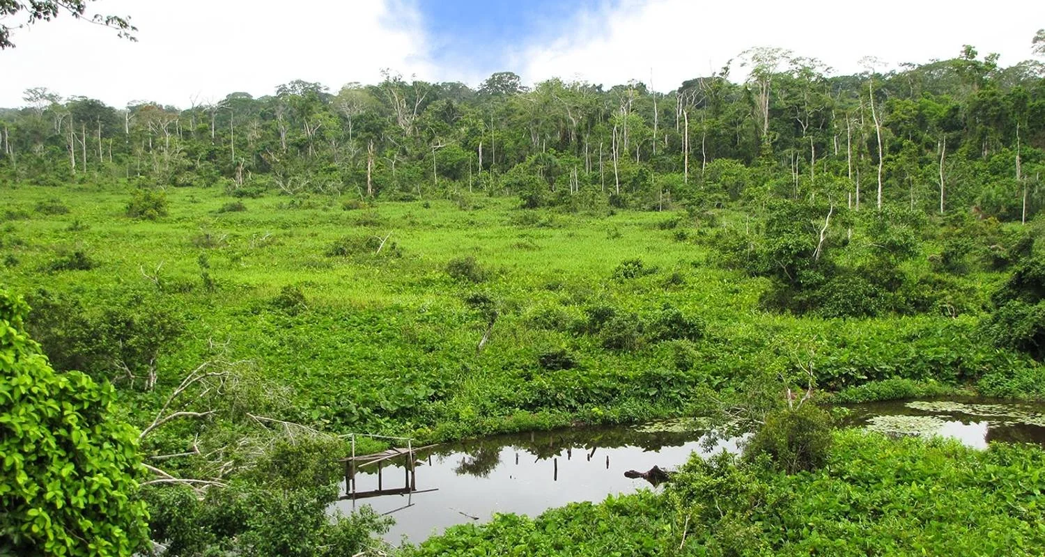 Explore Tambopata macaw clay lick 2D-1N for 2 days with CondeTravel and discover unforgettable experiences - Photo 2