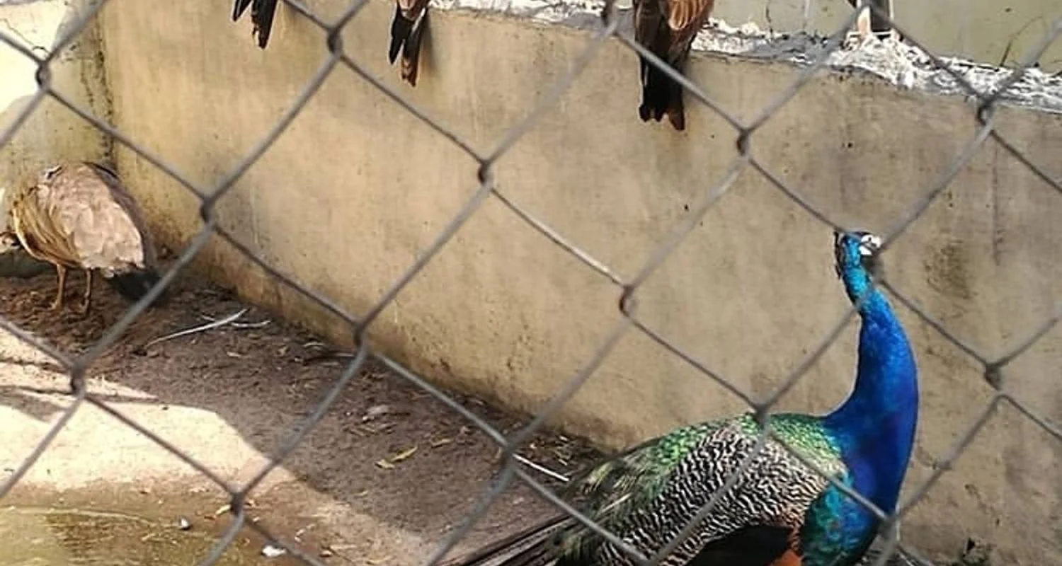 Explore Cultural & Historical Tour of Ivory Coast, 8 Days for 8 days with Continent Tours and discover unforgettable experiences - Photo 2