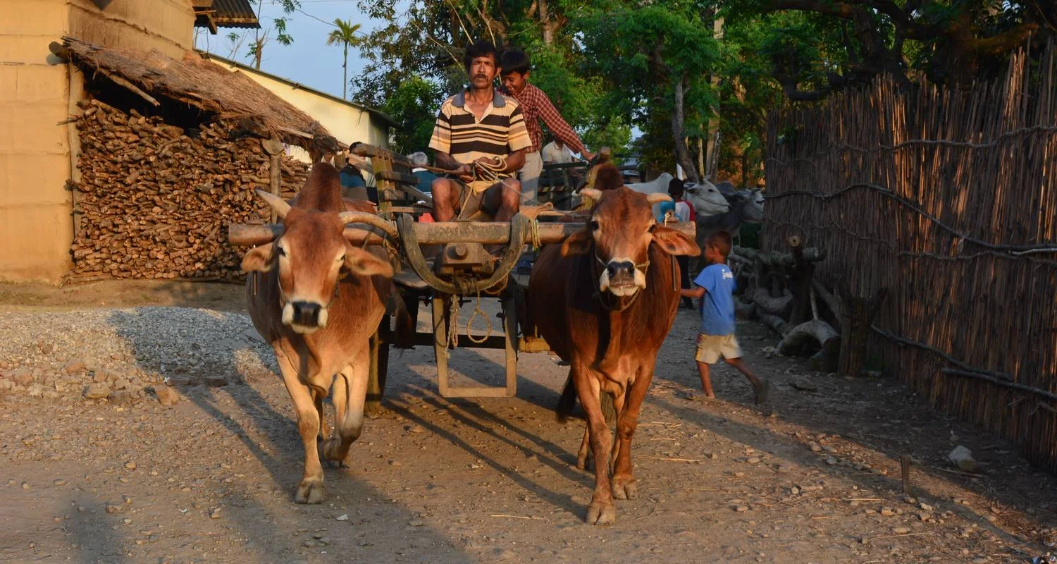 Explore UNESCO World Heritage Site Tour for 10 days with Corporate Adventure Treks Pvt. Ltd. and discover unforgettable experiences - Photo 2