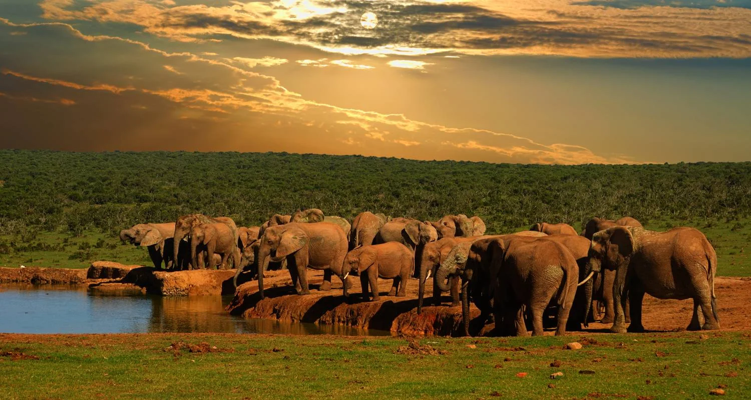Explore Sea, Safari, South Africa (With Johannesburg (until 15 December 2025)) for 14 days with Contiki and discover unforgettable experiences - Photo 2