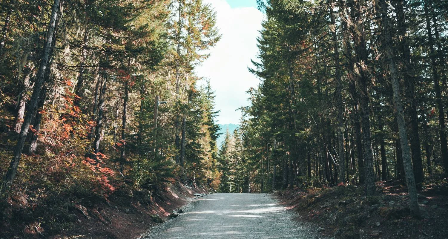 Explore Canadian Masterpiece with Rocky Mountaineer & Alaska Cruise for 19 days with Cosmos and discover unforgettable experiences - Photo 2