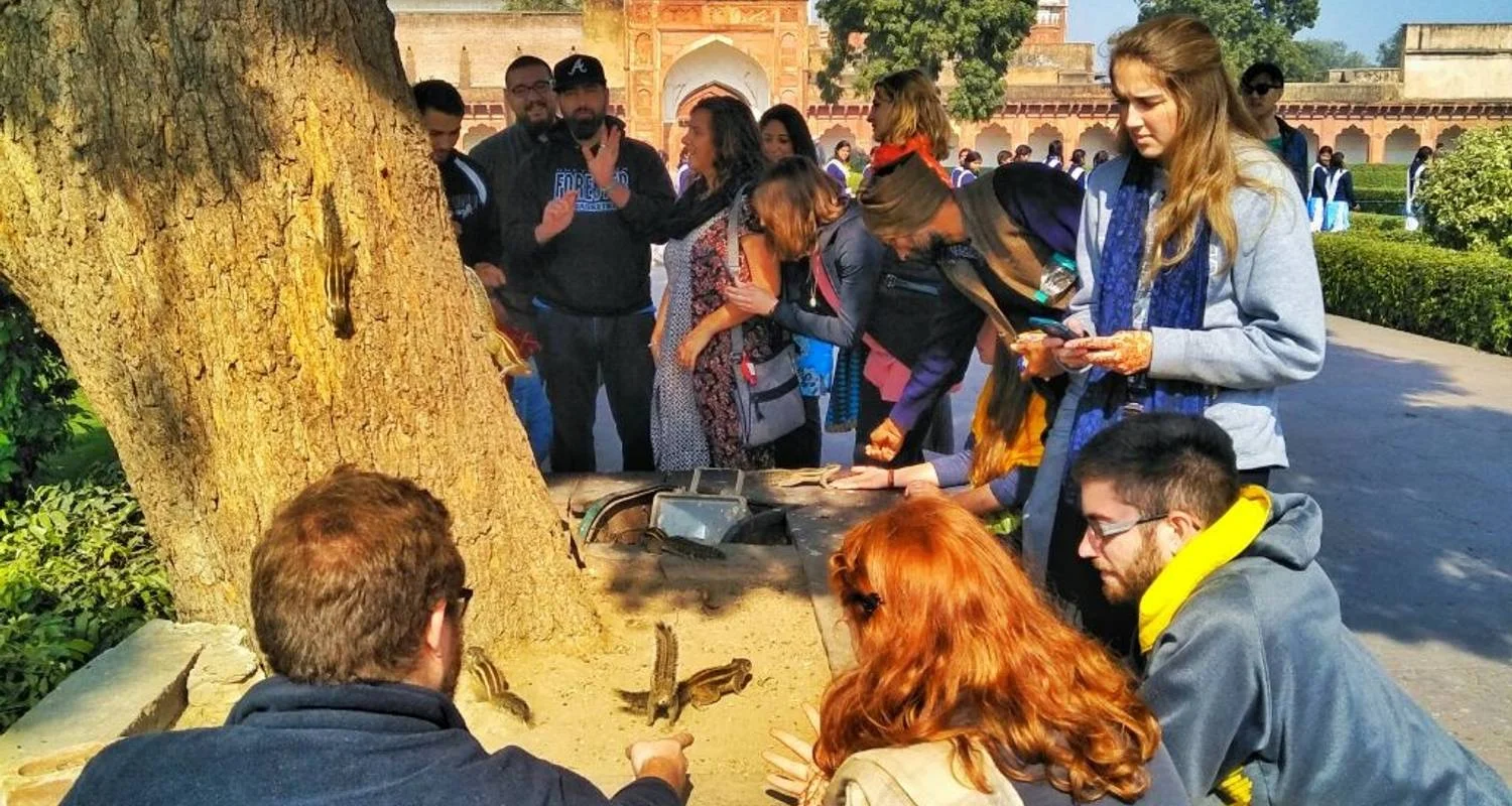 Explore Taj Mahal & Tigers - Golden Triangle India Tour with Ranthambore 7 Days for 7 days with Creative India Journey and discover unforgettable experiences - Photo 4