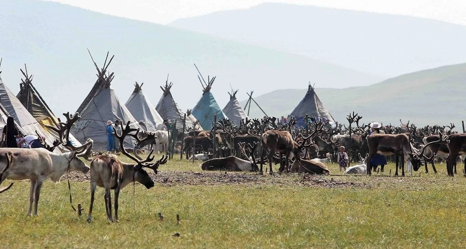 Explore Reindeer Tribes of Mongolia for 10 days with Crooked Compass and discover unforgettable experiences - Photo 2