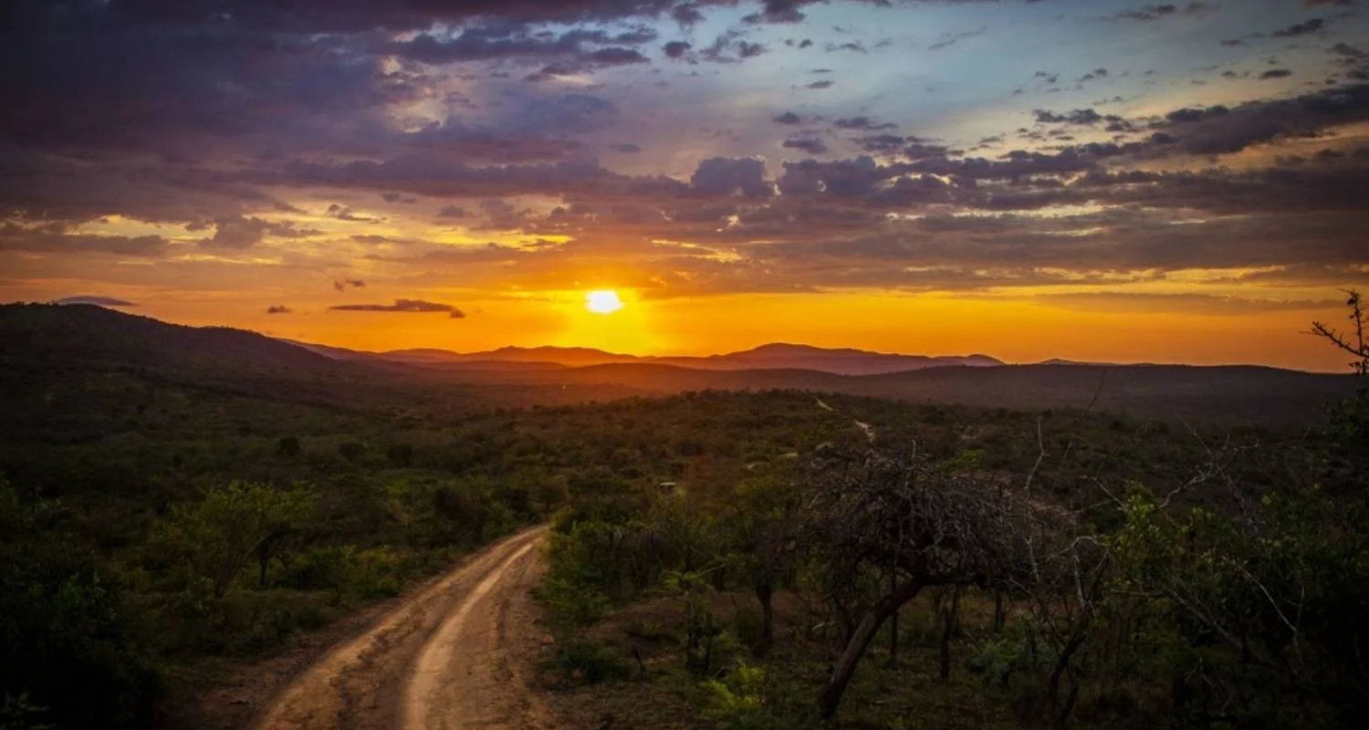 Explore South Africa Odyssey (from Johannesburg to Cape Town) for 14 days with Cullinan Guided Journeys and discover unforgettable experiences - Photo 2