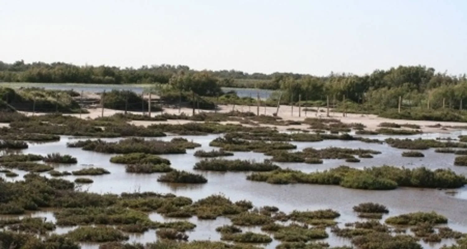 Explore A Taste of the Mediterranean: A Cruise through the Heart of Provence and the Camargue Region (port-to-port cruise) for 7 days with CroisiEurope River Cruises and discover unforgettable experiences - Photo 2