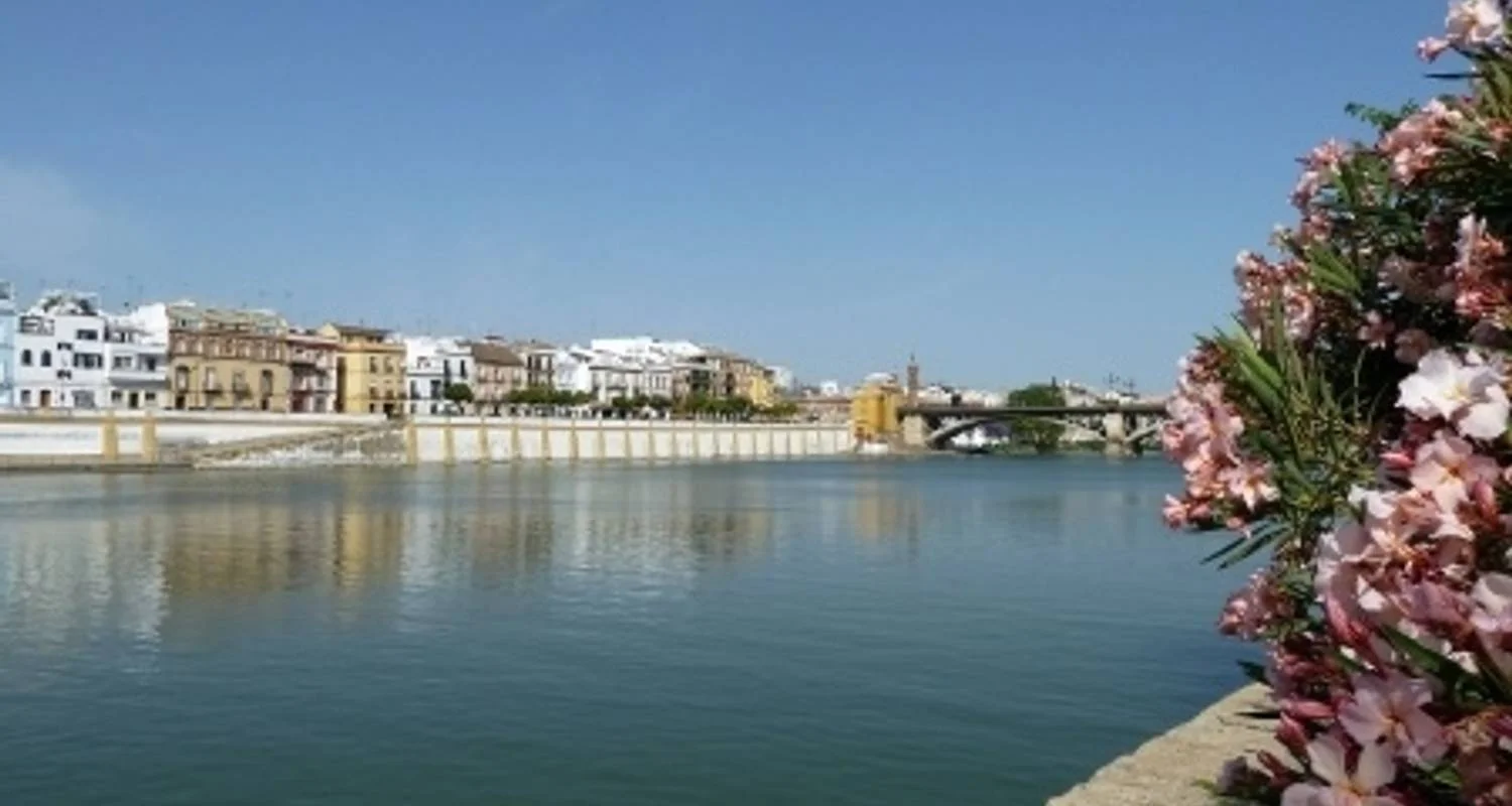 Explore Enchanting Andalusia - Seville Fair Festivities: Tradition, gastronomy and flamenco (port-to-port cruise) for 8 days with CroisiEurope River Cruises and discover unforgettable experiences - Photo 2