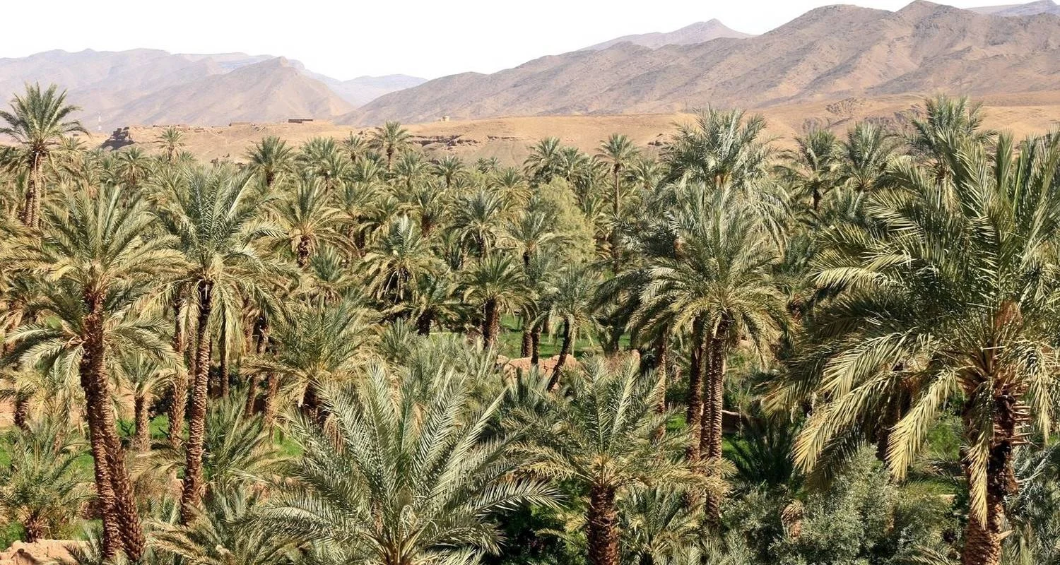 Marrakech and the Sahara Desert 6-Day Expedition - 6 days with Cultural Morocco Tours - Photo 2 Explore Marrakech and the Sahara Desert 6-Day Expedition for 6 days with Cultural Morocco Tours and discover unforgettable experiences - Photo 2