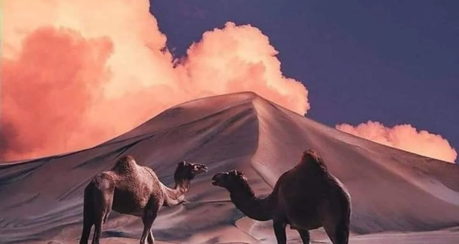 Explore Morocco Discovery: Private 8-Day from Marrakech to Tangier for 8 days with Cultural Morocco Tours and discover unforgettable experiences - Photo 2