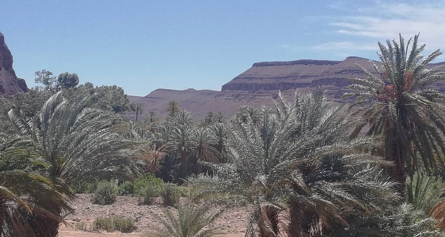 Explore 2 Days Sahara  tour from Marrakech to M'hamid desert for 2 days with Cultural Morocco Tours and discover unforgettable experiences - Photo 2