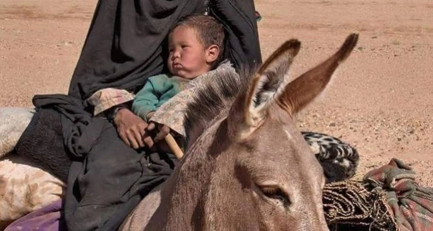 Explore Casablanca to Marrakech and Essaouira PRIVATE tour for 4 days with Cultural Morocco Tours and discover unforgettable experiences - Photo 2