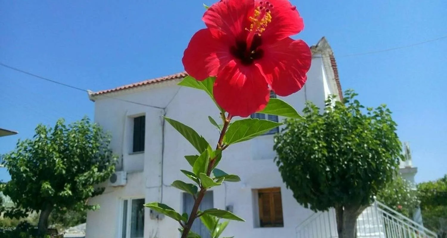 Explore Messinia Coastal Tour Self Guided for 7 days with Cycle Green Tours and discover unforgettable experiences - Photo 2