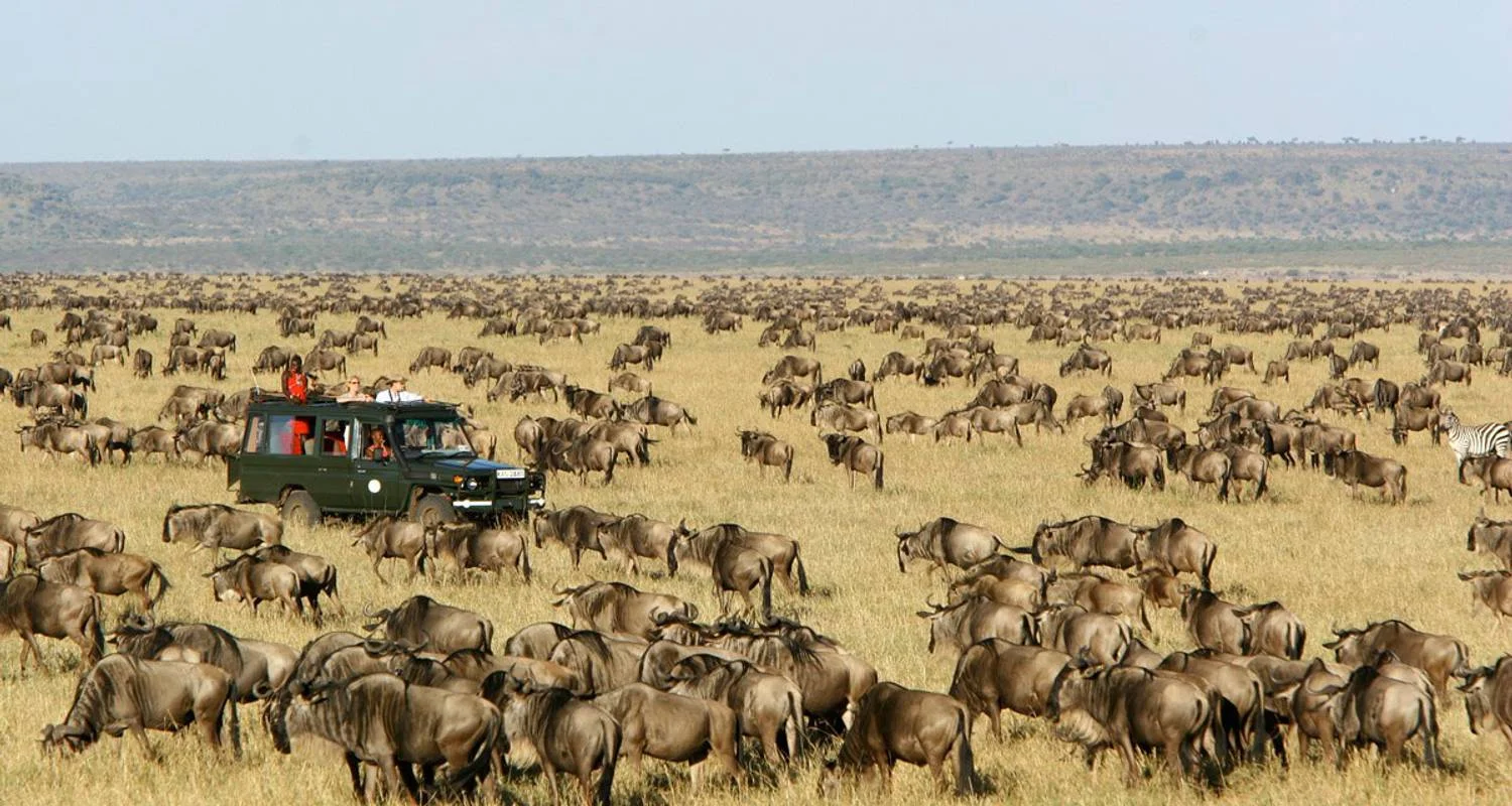 Explore 3 Days Masai Mara Tented Camping Safari for 3 days with Dallago Tours Kenya-Tanzania and discover unforgettable experiences - Photo 2