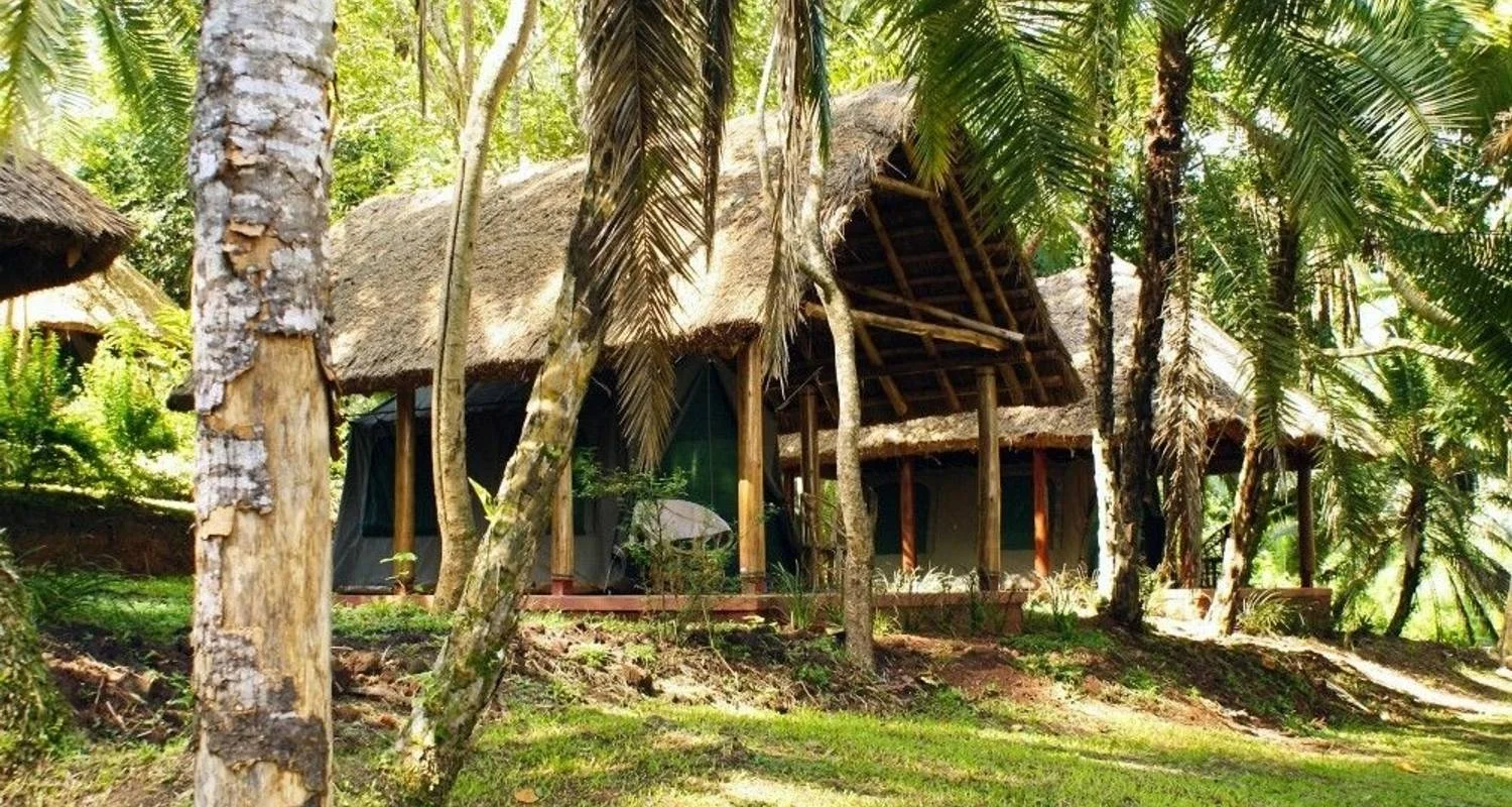 Explore In the green heart of Africa for 9 days with DIAMIR Erlebnisreisen and discover unforgettable experiences - Photo 2