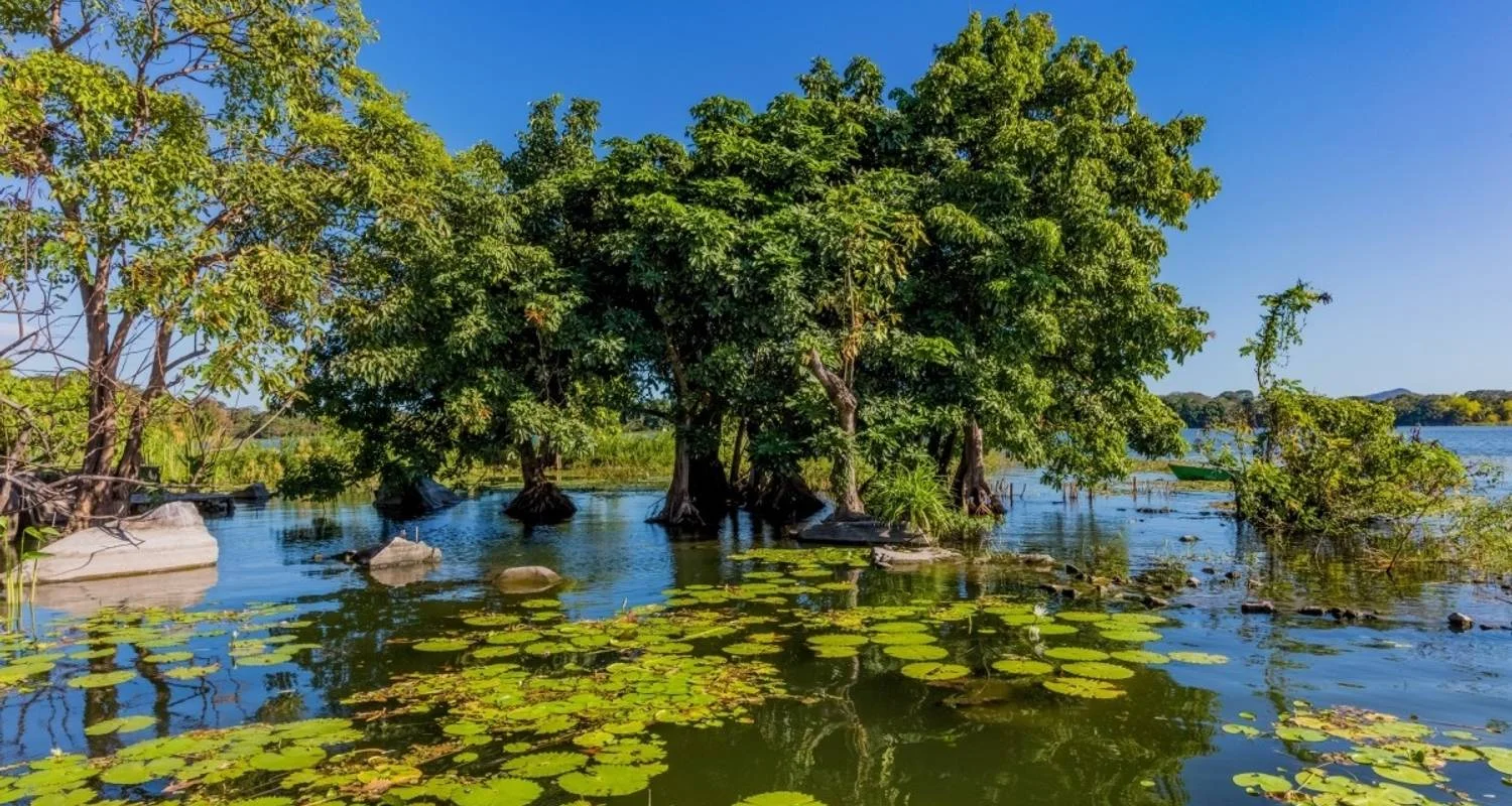 Explore Dancing on the Volcano for 13 days with DIAMIR Erlebnisreisen and discover unforgettable experiences - Photo 2