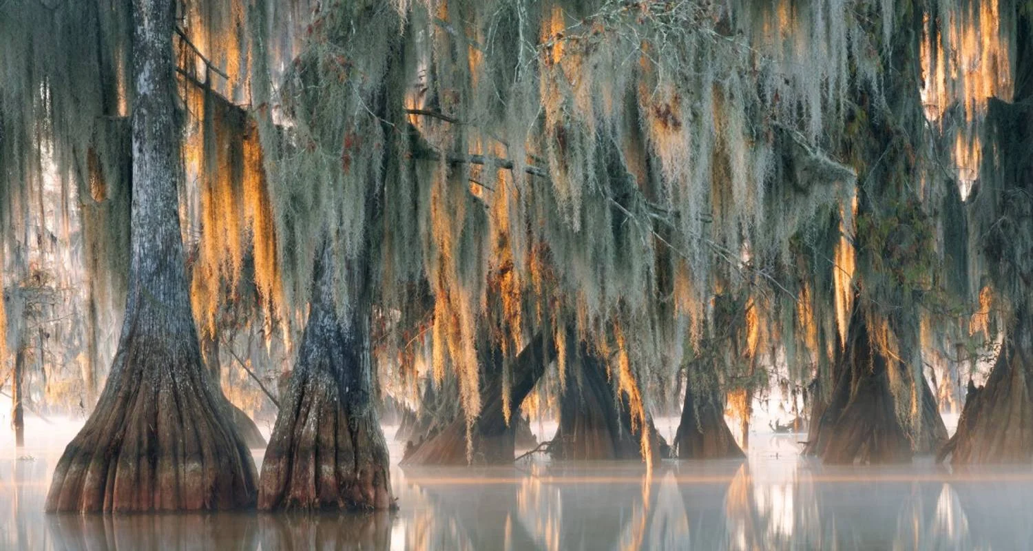 Explore The mystical swamps of Louisiana for 8 days with DIAMIR Erlebnisreisen and discover unforgettable experiences - Photo 2