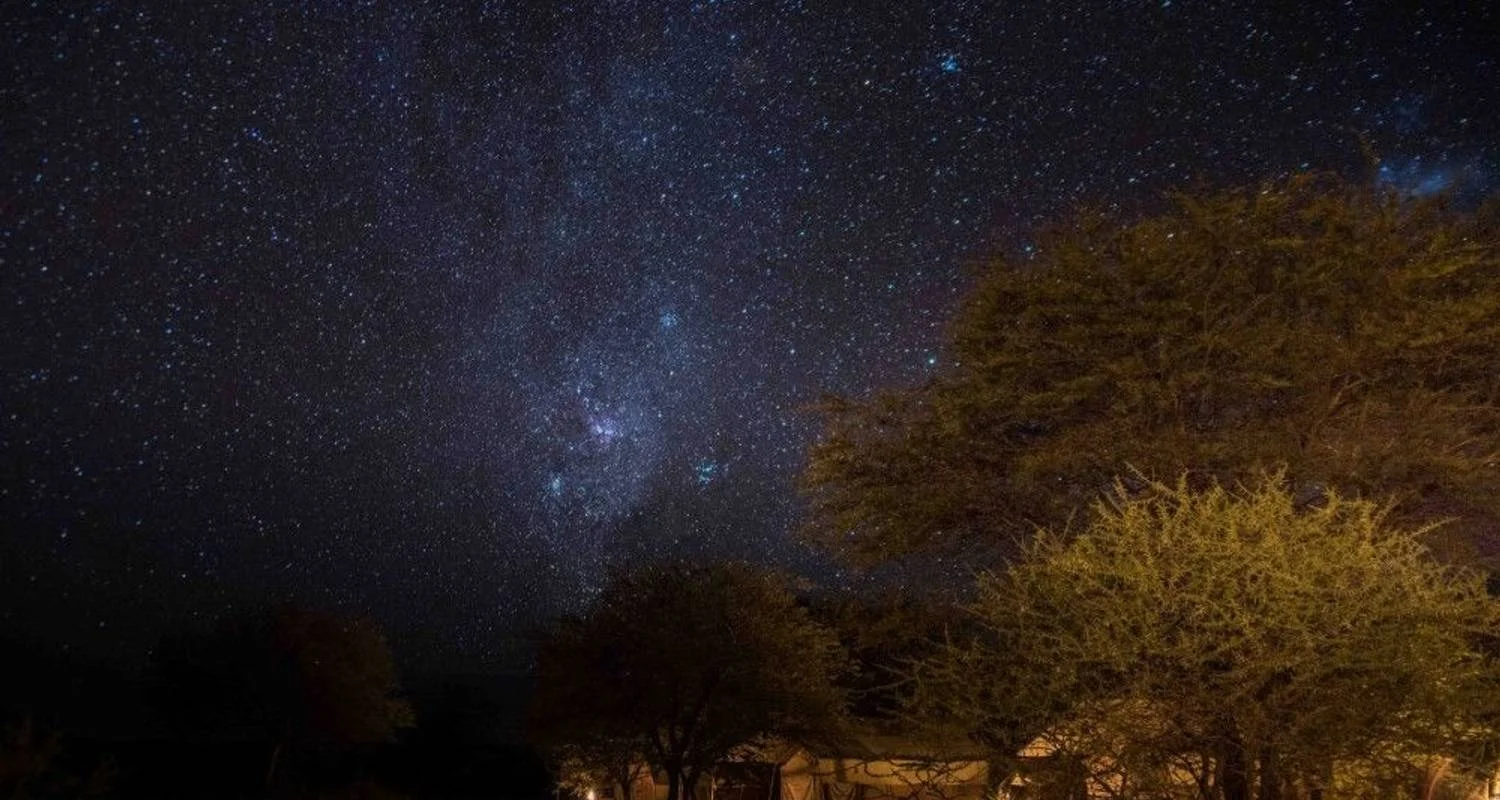 Explore The Savannah for 14 days with DIAMIR Erlebnisreisen and discover unforgettable experiences - Photo 2