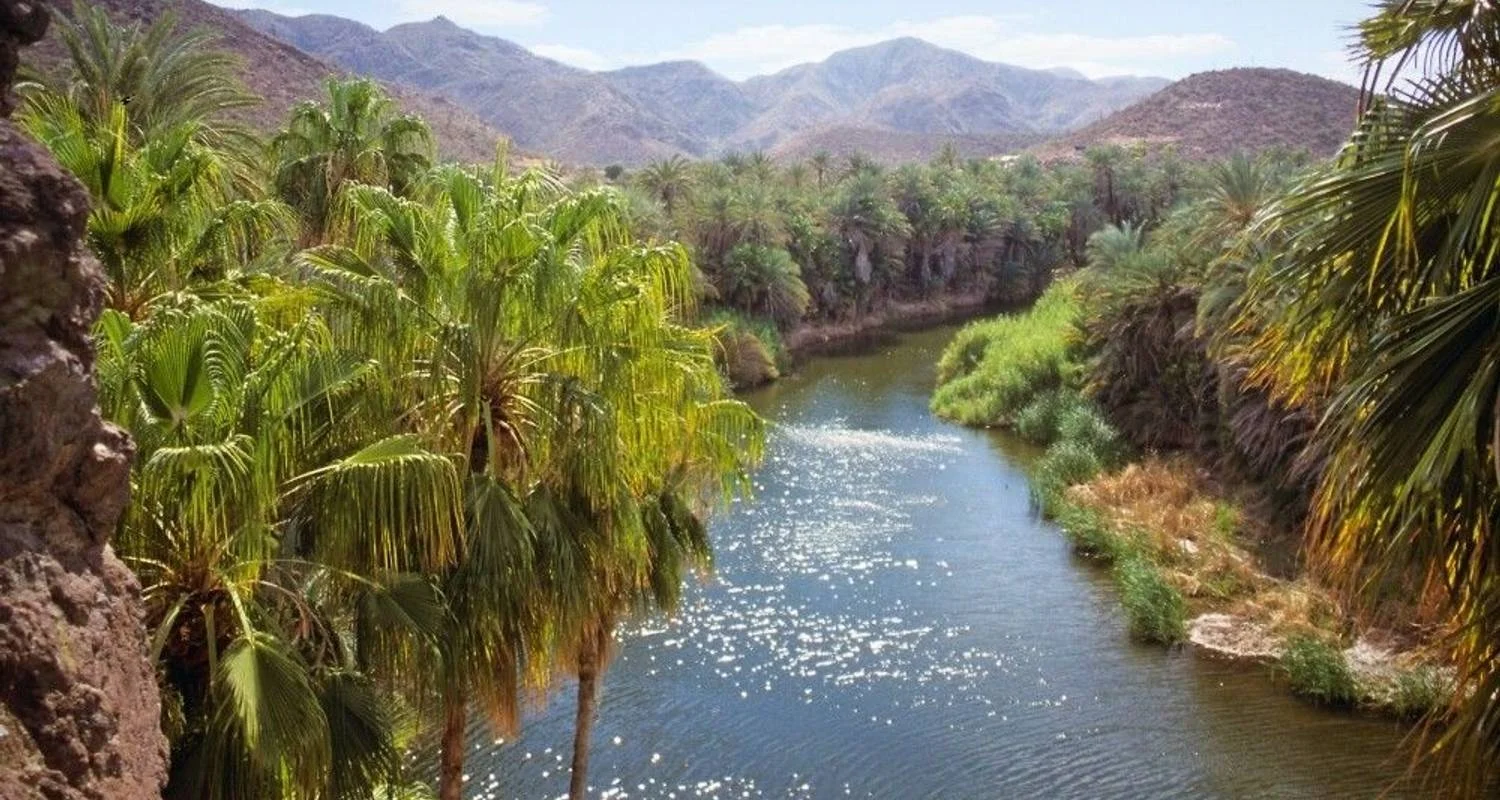 Explore Whale watching in Baja California for 13 days with DIAMIR Erlebnisreisen and discover unforgettable experiences - Photo 2