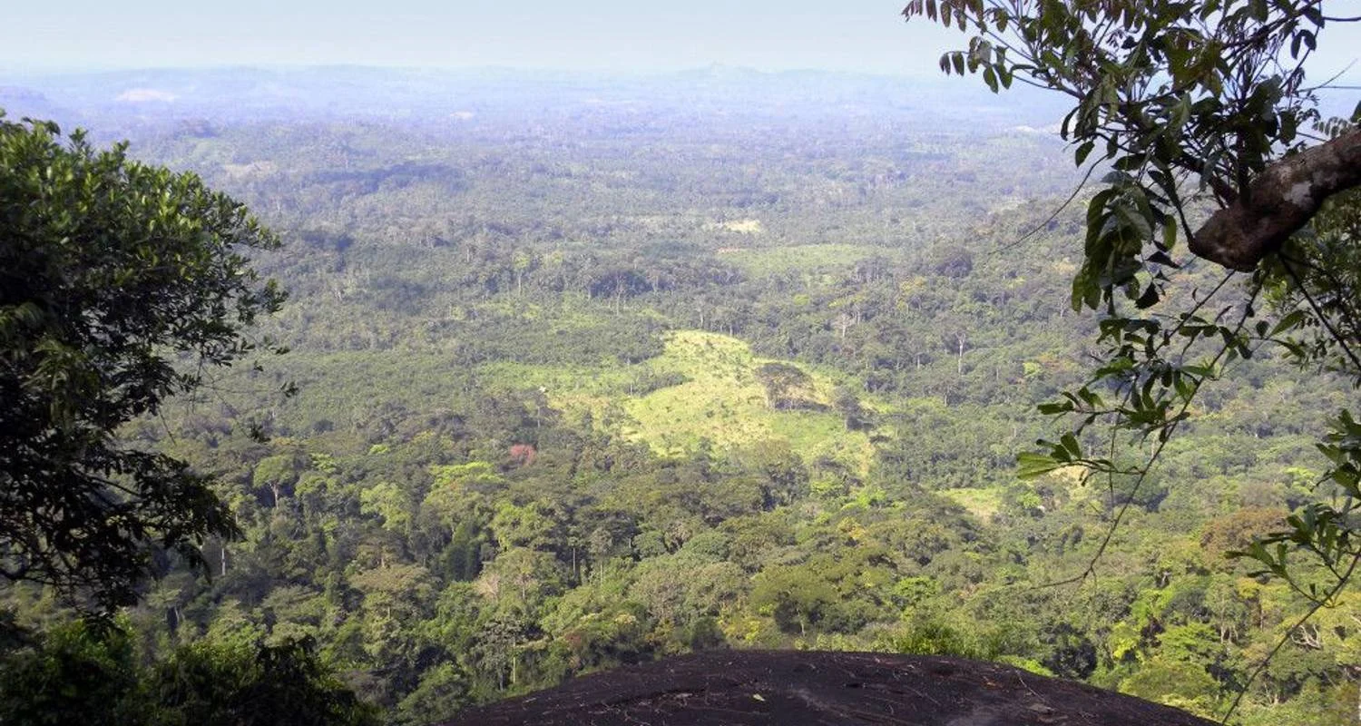 Explore Into the Green Heart of West Africa for 14 days with DIAMIR Erlebnisreisen and discover unforgettable experiences - Photo 2