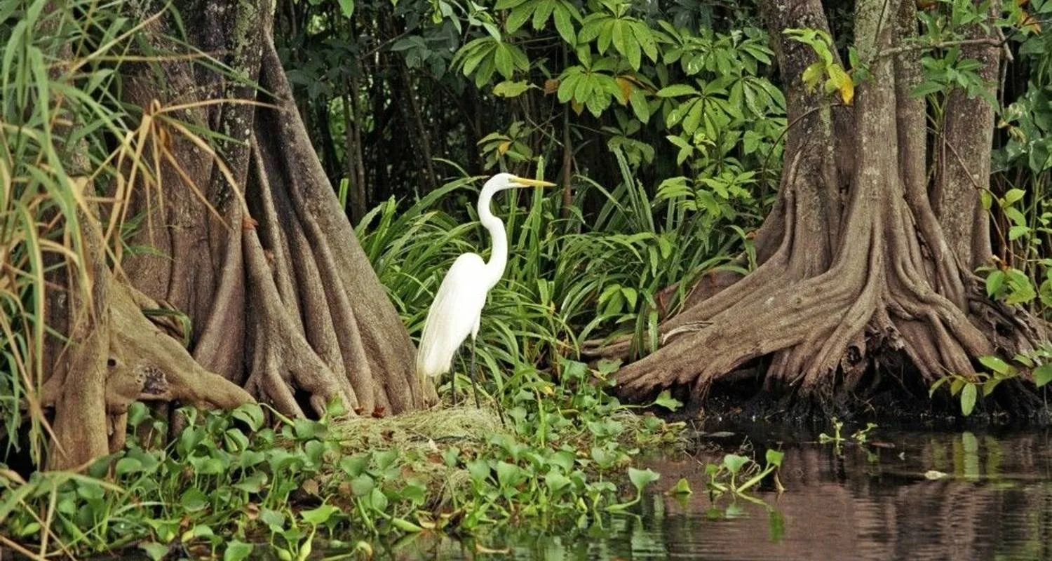 Explore In the Footsteps of the Maya for 14 days with DIAMIR Erlebnisreisen and discover unforgettable experiences - Photo 2