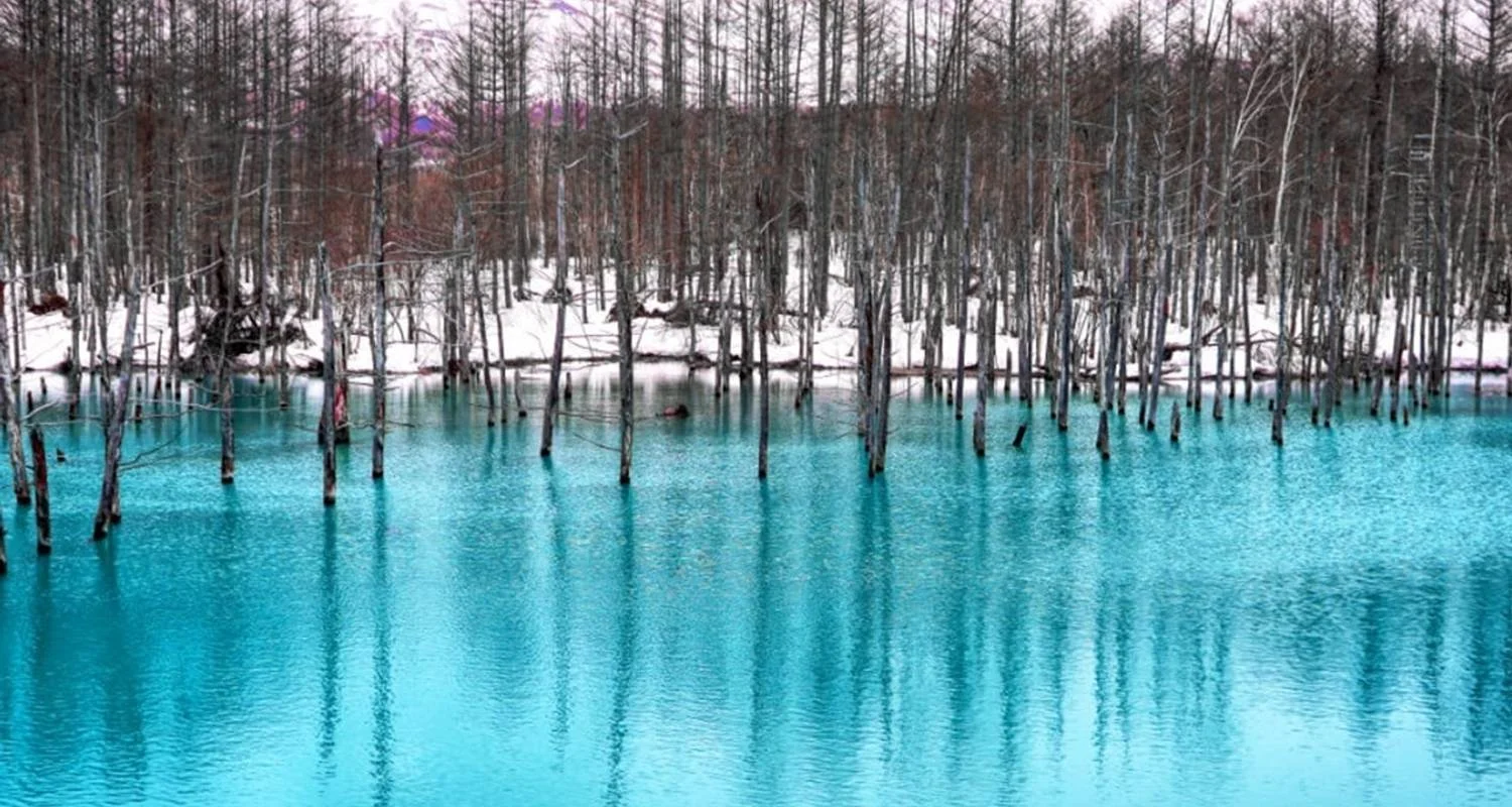 Explore 【Japan】Hokkaido 7 Days Noboribetsu, Asahikawa, Biei Package for 7 days with Delightful Travel and discover unforgettable experiences - Photo 2