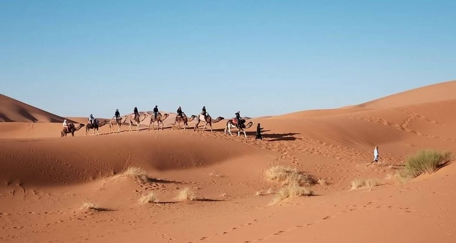Explore 6 Days Camel Trek in Morocco Desert for 6 days with Desertbrise Travel and discover unforgettable experiences - Photo 2