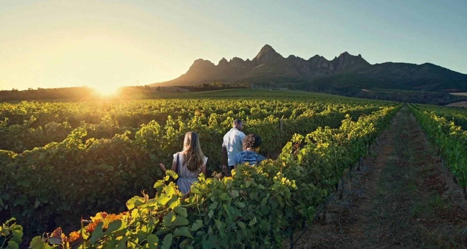 Explore Cape In Style (from Gqeberha (Port Elizabeth)/to Cape Town) for 7 days with DERTOUR and discover unforgettable experiences - Photo 2
