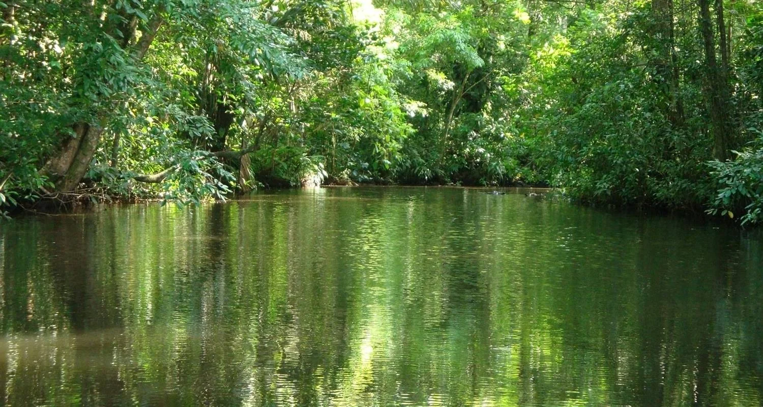 Explore Essential Costa Rica with extension to Guanacaste, Tamarindo Beach & San José City for 13 days with Destination Services Costa Rica and discover unforgettable experiences - Photo 2