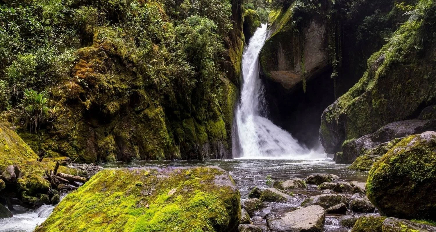 Explore Wild Jungles and Secret Mountains of Costa Rica (On Request) for 9 days with Destination Services Costa Rica and discover unforgettable experiences - Photo 2