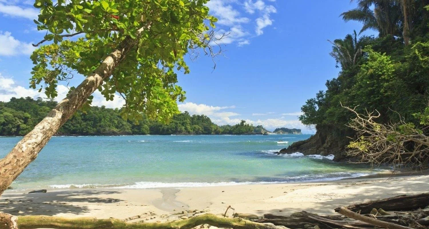 Explore Dreamlike Manuel Antonio Beach, Short Break for 3 days with Destination Services Costa Rica and discover unforgettable experiences - Photo 2