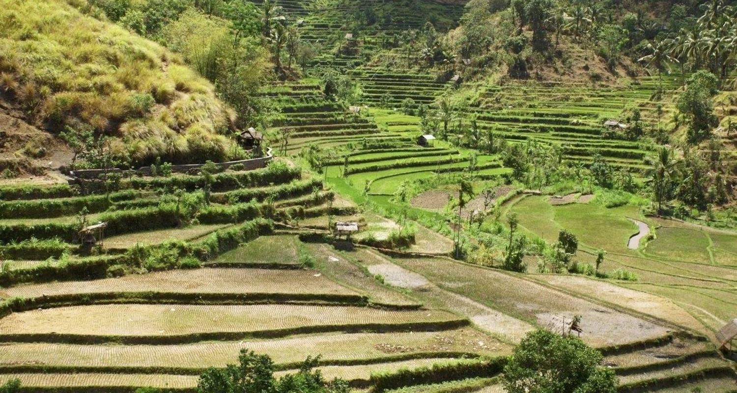 Explore The Best of Three Islands, Private Tour for 12 days with Destination Services Indonesia and discover unforgettable experiences - Photo 2