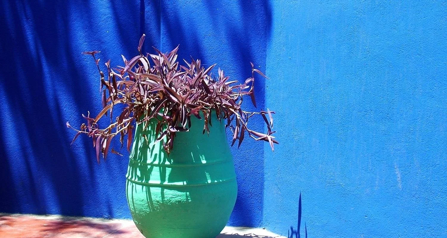 Explore TUI Tours | Atlas Mountains - Tracks of the Nomads, Small Group Tour for 8 days with Destination Services Morocco and discover unforgettable experiences - Photo 2