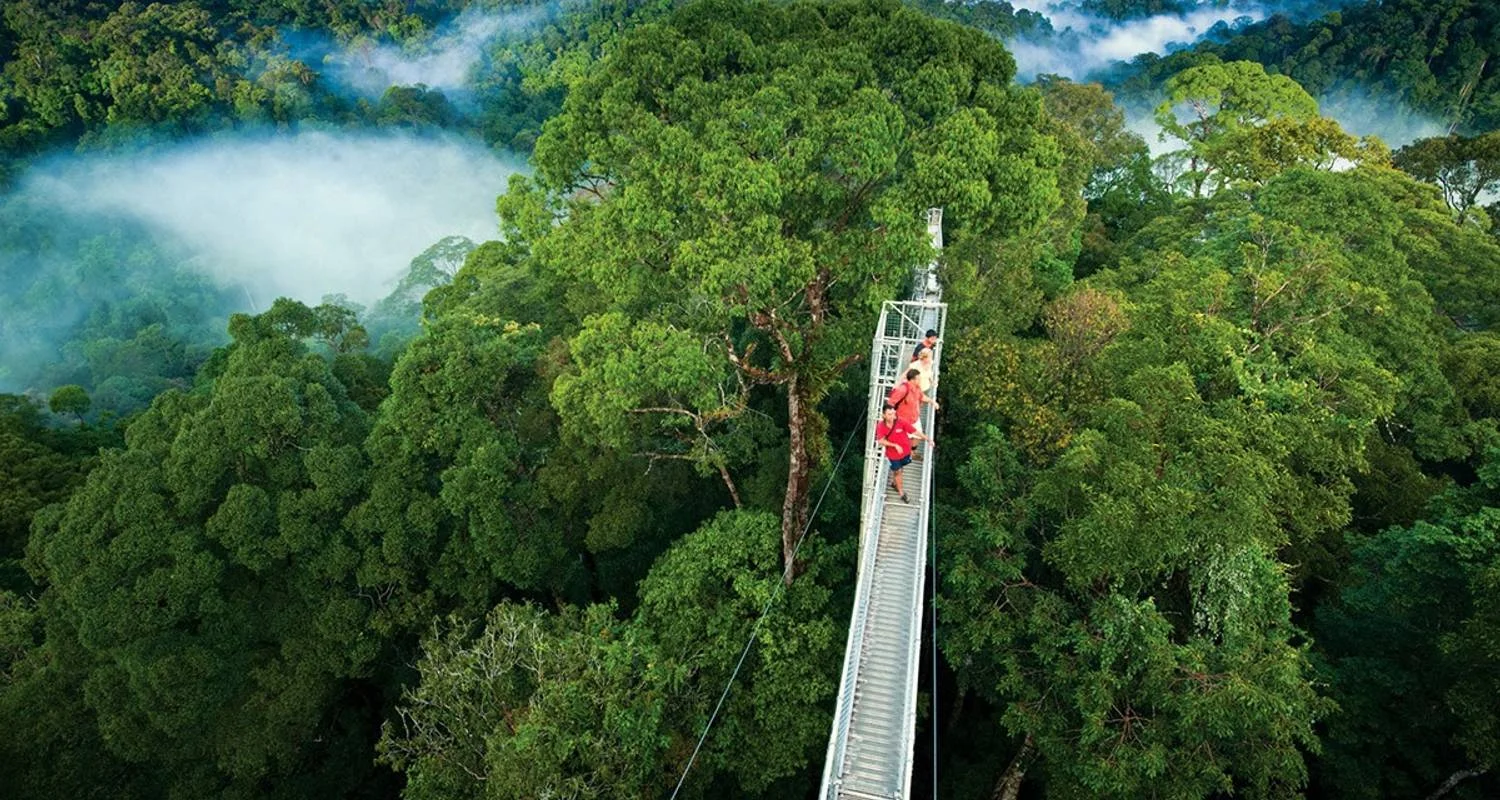 Exotic Landscapes of Costa Rica - 9 days with Destiny Travel Costa Rica - Photo 2 Explore Exotic Landscapes of Costa Rica for 9 days with Destiny Travel Costa Rica and discover unforgettable experiences - Photo 2