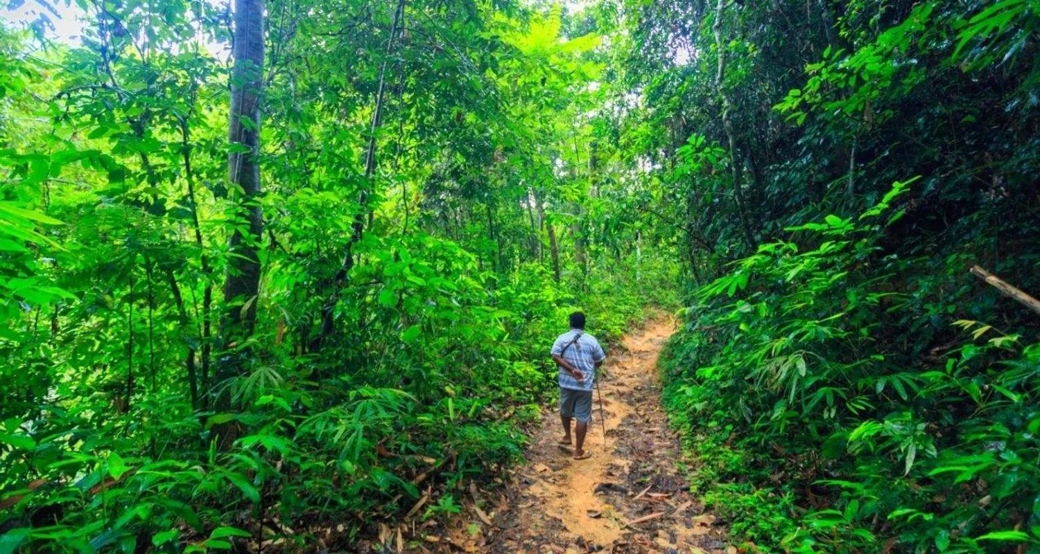 Explore Khao Sok Discovery, Private Tour for 3 days with Destination Services Thailand and discover unforgettable experiences - Photo 2
