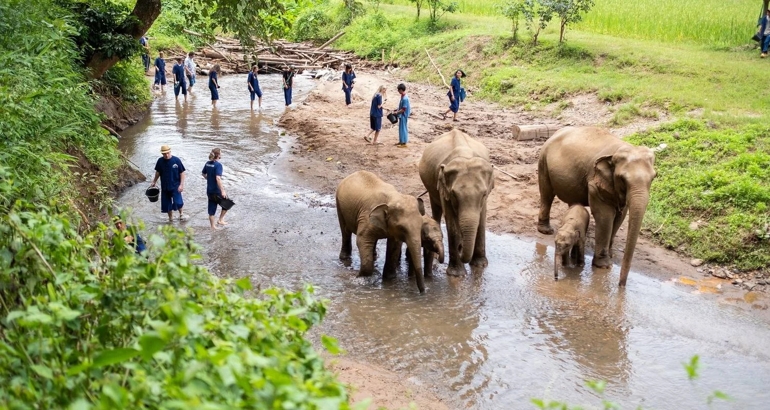 Explore Thailand – The Elephant Experience for 10 days with Discover Corps and discover unforgettable experiences - Photo 2