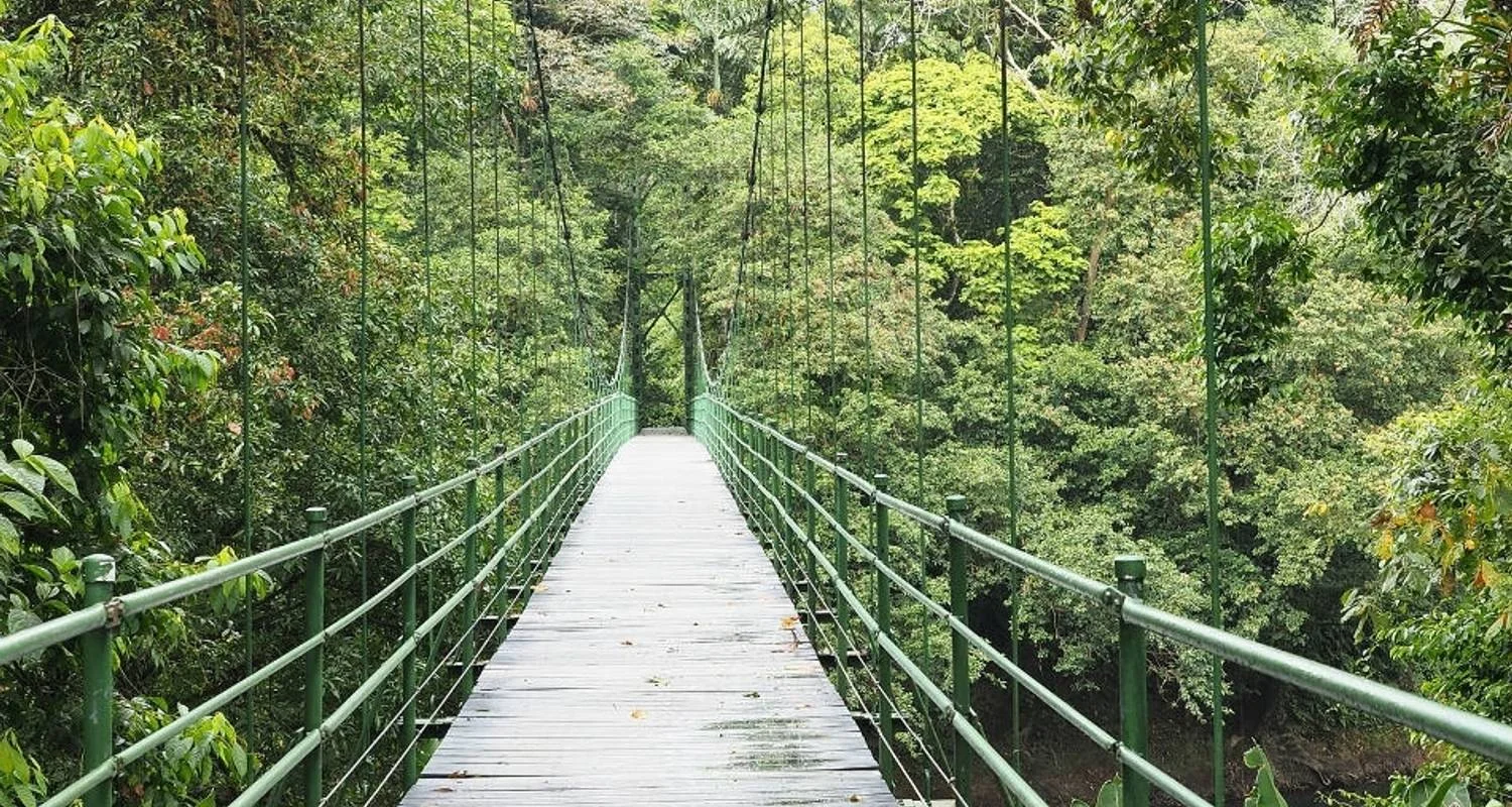 Explore Costa Rica – Family Volunteer Adventure for 8 days with Discover Corps and discover unforgettable experiences - Photo 2