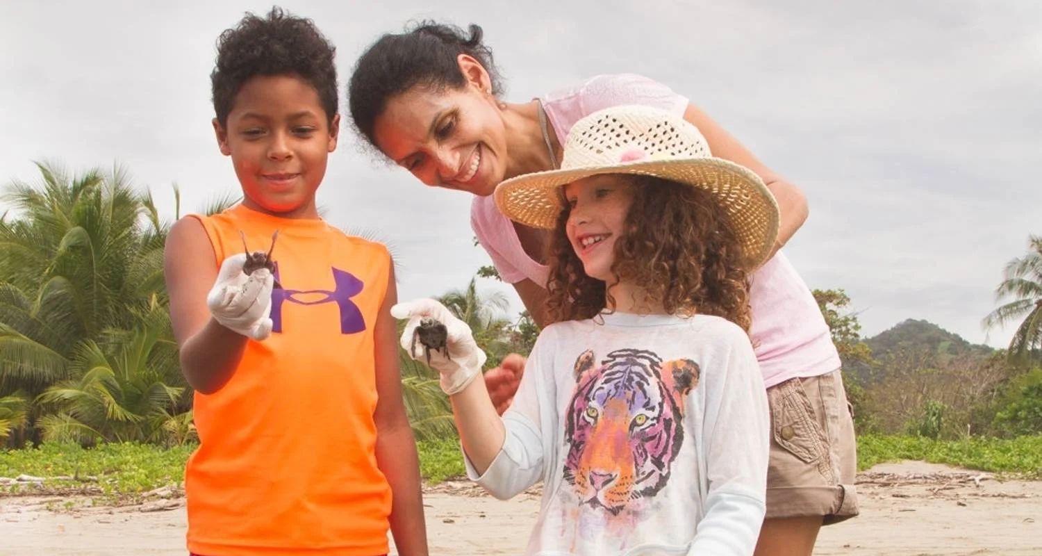 Explore Costa Rica – The Sea Turtle Initiative for 8 days with Discover Corps and discover unforgettable experiences - Photo 2