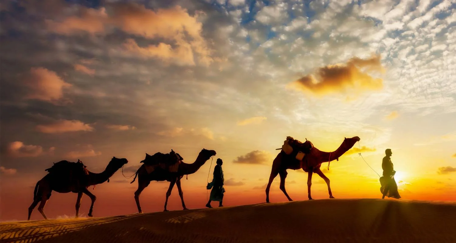 Explore The Great Sahara Expedition: Casablanca to Dakhla Morocco for 15 days with Discover Morocco Tours and discover unforgettable experiences - Photo 2